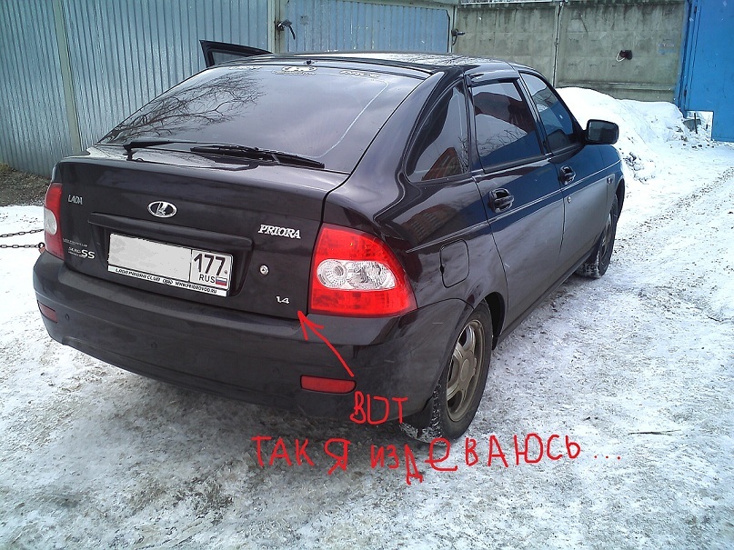 дикий овоСТЧ - Фото галерея Лада Приора Клуба | Lada Priora Club
