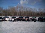 Встреча приороводов 14.03.2010