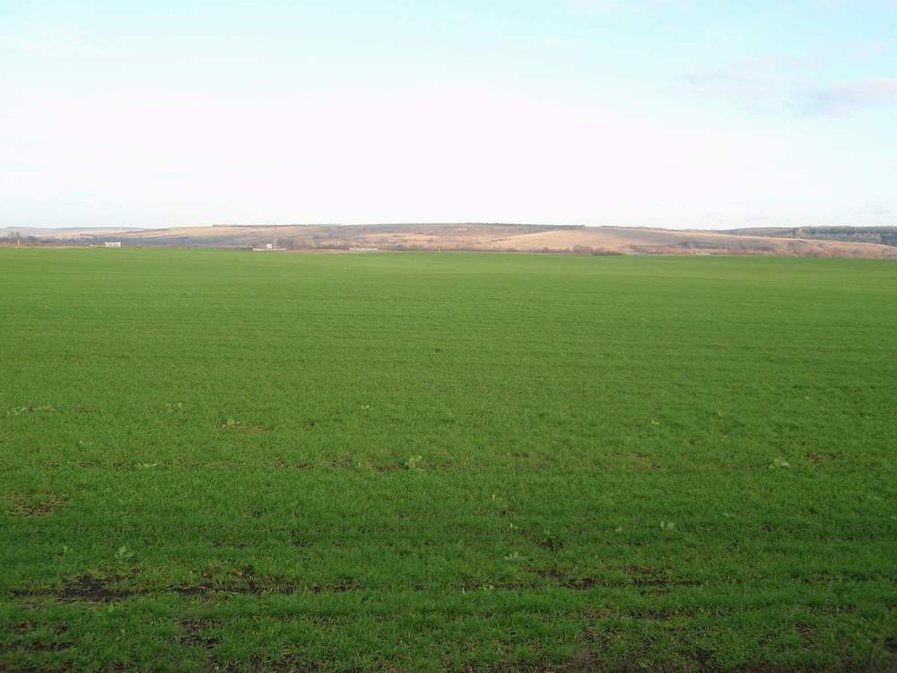 Москва-Курск 21.11.2009