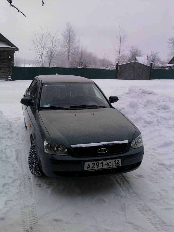 красава