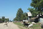 07/24 Гремячинск-Святой Нос