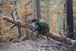 07/27 Тропа испытаний или Дорога в облака