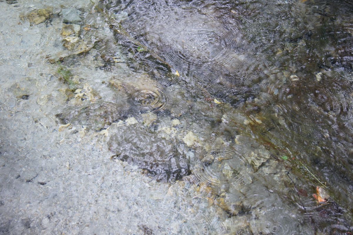 07/30 Аршан. Водопады
